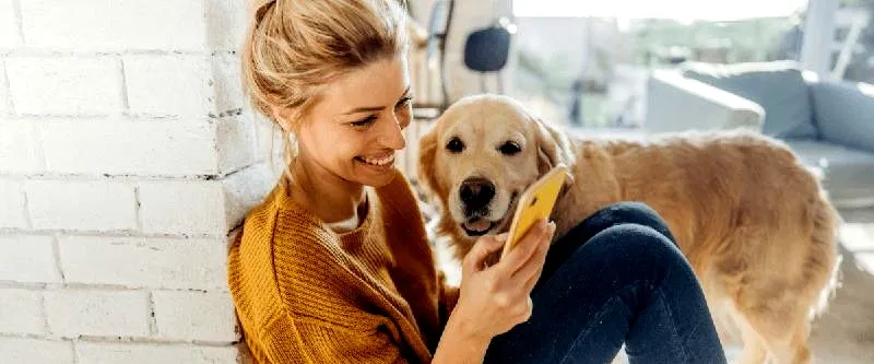 Jak usunąć znak wodny TikTok z filmu? 3 proste sposoby