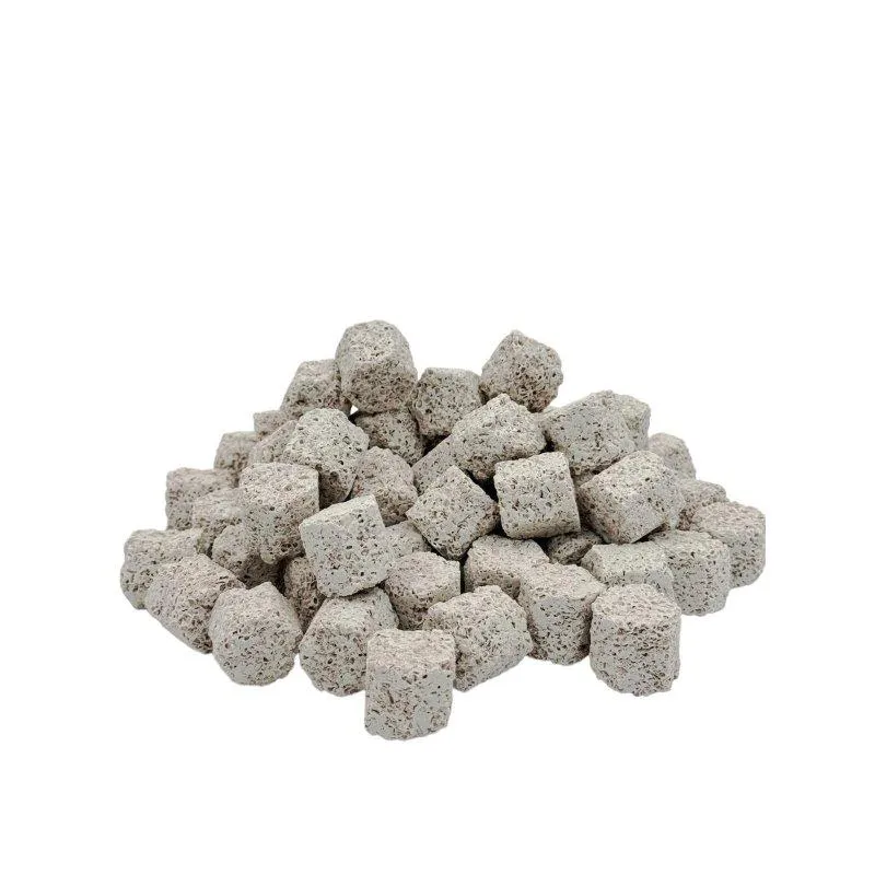 Jakie media filtracyjne do akwarium wybrać, aby zapewnić zdrowie ryb?