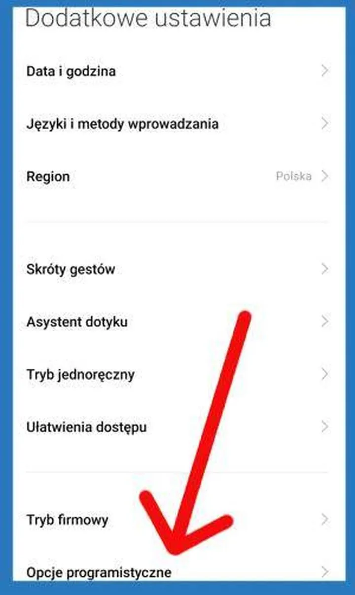 Ukryte funkcje opcji programistycznych
