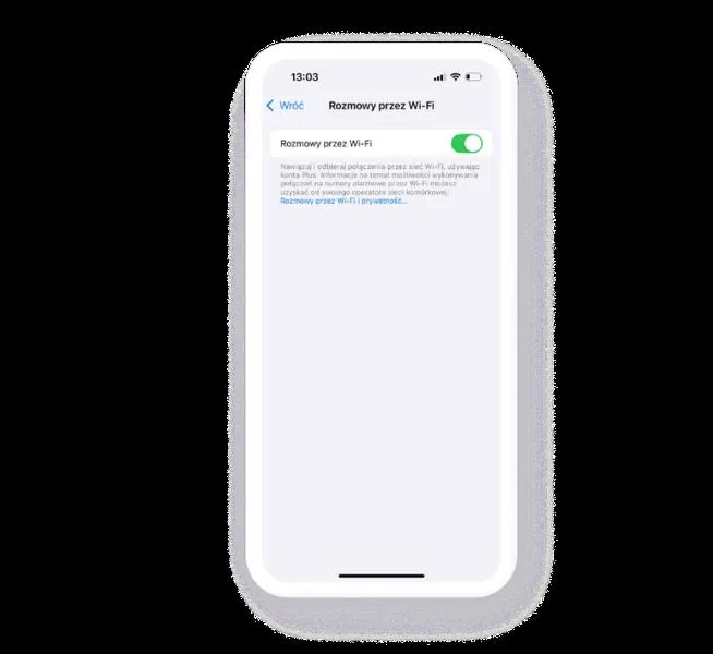 Ustawienia telefonu